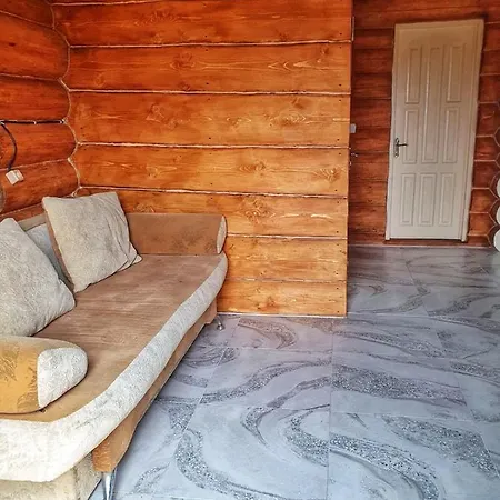 Відпочинок У Закарпатті Villa Kushnytsya Exterior photo
